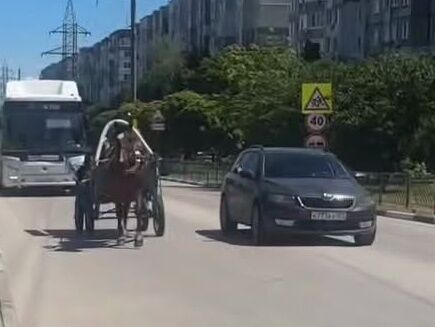 Een paard-en-wagen rijdt zij aan zij met een Škoda op een stadsweg op de Krim. Door de brandstofschaarste zijn paardentaxi's teruggekeerd op het schiereiland. Foto: Charter97
